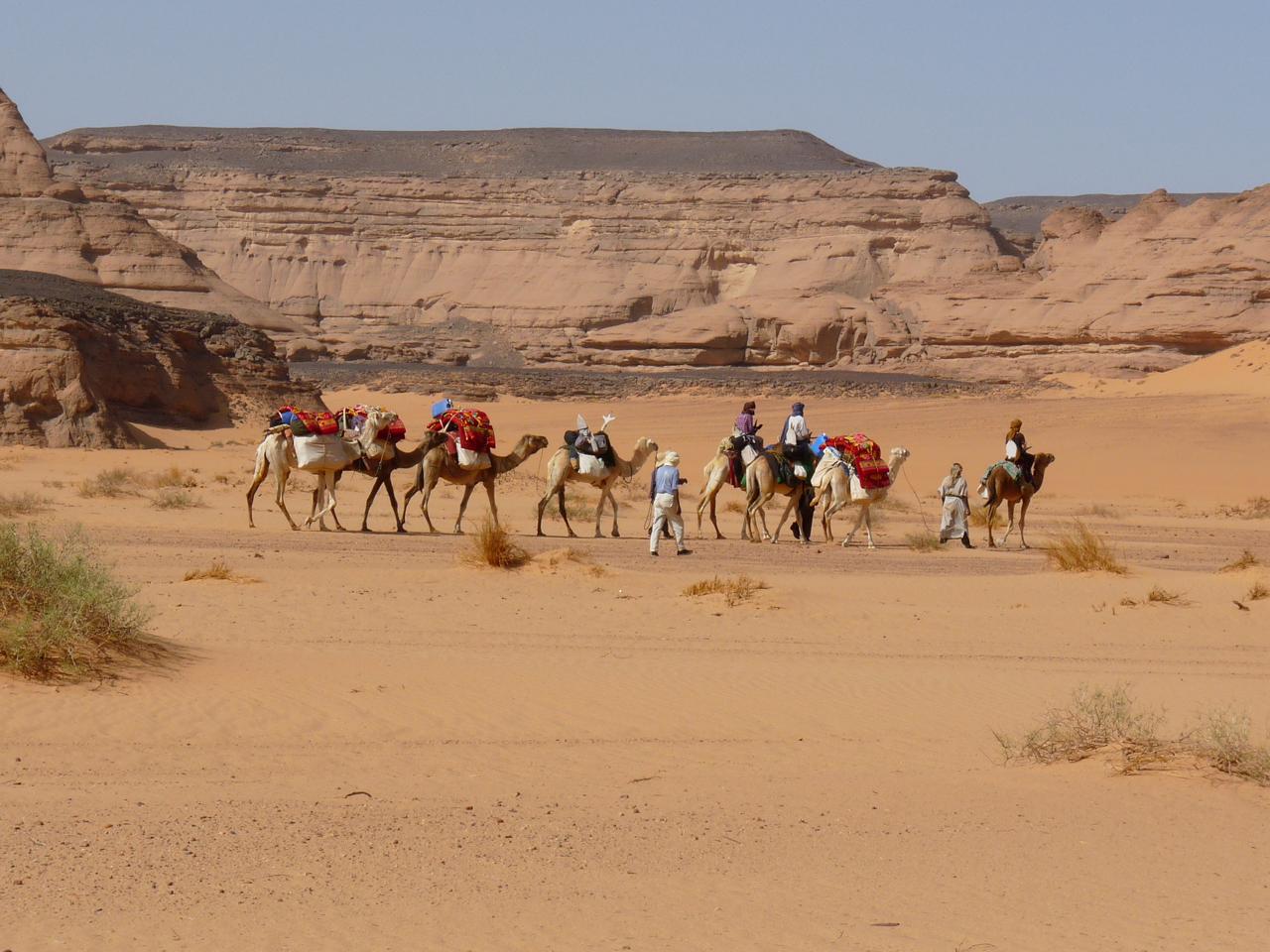 رحلات صحراوية