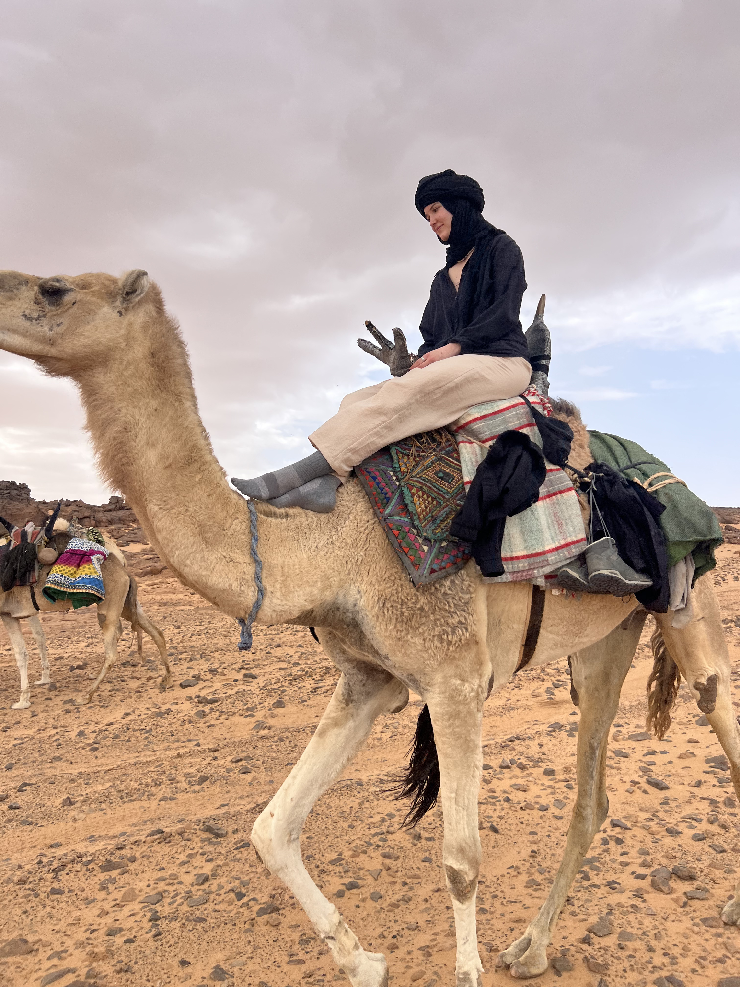 رحلات صحراوية