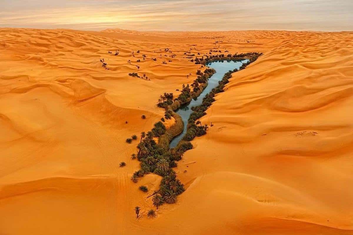 الواحات والطبيعة